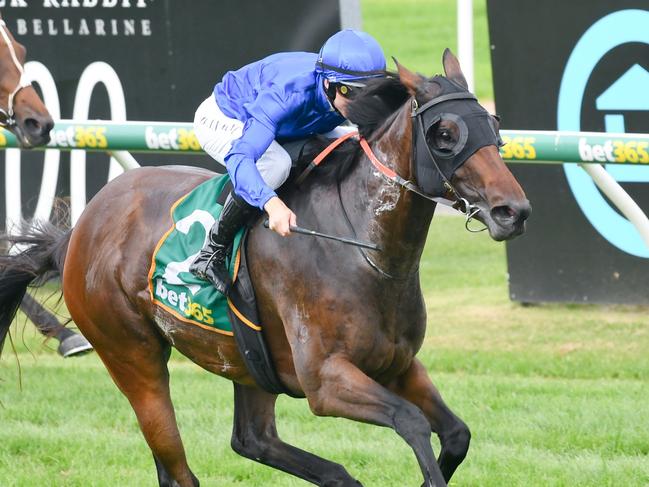 Va Via ridden by Damian Lane wins the SEN Geelong Black Pearl Stakes at Geelong Racecourse on January 06, 2024 in Geelong, Australia. (Photo by Brett Holburt/Racing Photos via Getty Images)