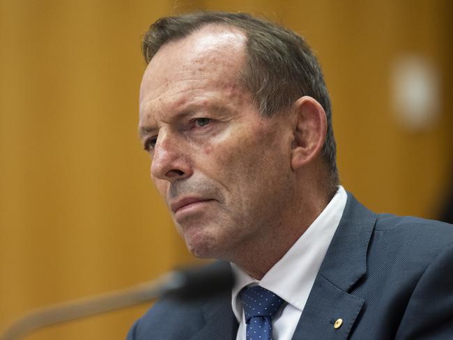 Former Prime Minister Tony Abbott said the voting system will create an unfair advantage. Picture: NCA NewsWire / Martin Ollman