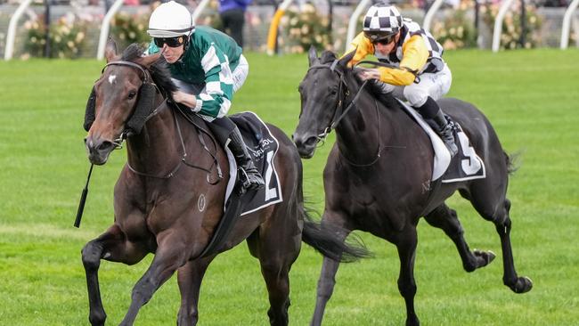 Treasurethe Moment ridden by Damian Lane wins the HKJC World Pool Wakeful Stakes at Flemington Racecourse on November 02, 2024 in Flemington, Australia. (Photo by George Sal/Racing Photos via Getty Images)