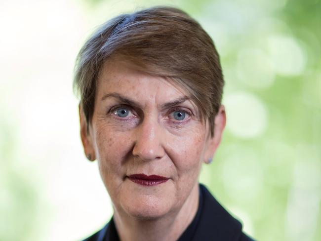 Chief Justice Anne Ferguson