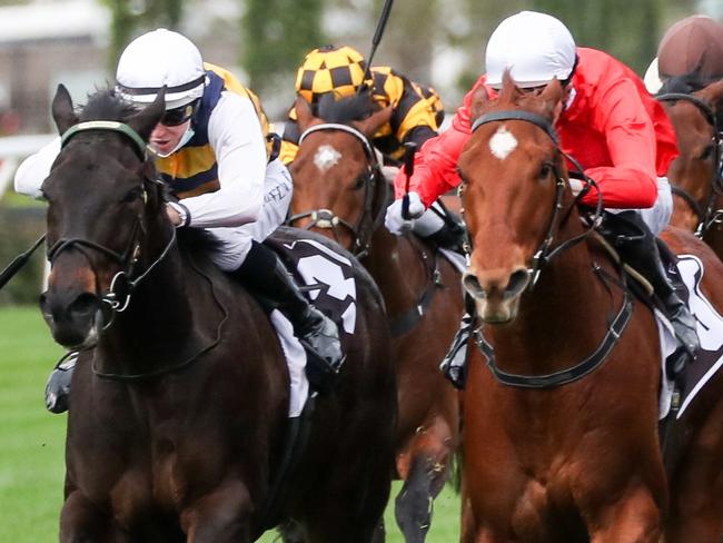 Harbour Views (FR) ridden by Damian Lane wins the The Sofitel at Flemington Racecourse on September 11, 2021 in Flemington, Australia. (George Salpigtidis/Racing Photos via Getty Images)