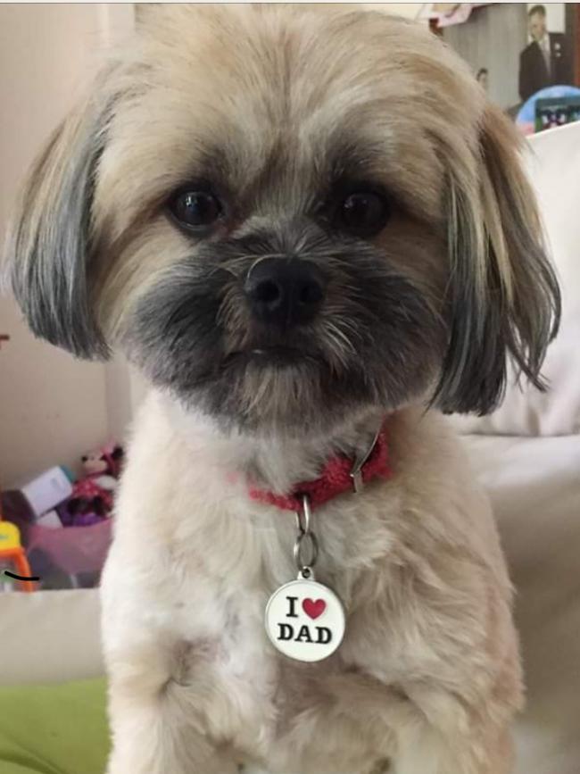 My little girl Boo from Mudgeeraba. I am nominating her because she loves her dad and everyone else, “woof”
