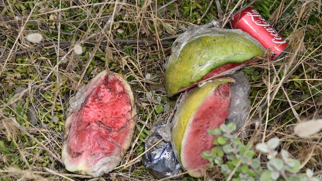 Discarded watermelon and a soft drink can on the track to The Pillars.