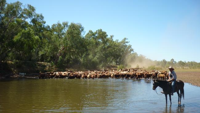 Northern approach: Muster time on a NAPCO station.