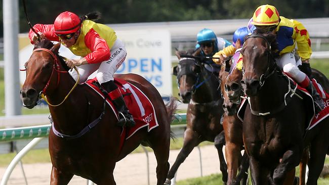 Exceedingly Kool with jockey Bonnie Thomson just beats Desert Cowboy with jockey Stephen Wilson. PICTURE: STEWART McLEAN.