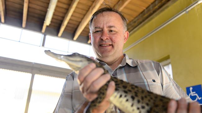 Then Shadow Minister for Tourism, Anthony Albanese, visiting Darwin's Crocosaurus Cove.