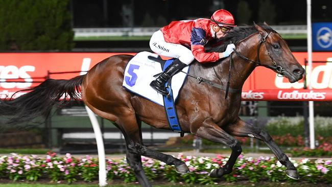 Schwarz ridden by Blake Shinn wins the Clamms Seafood Australia Stakes at Moonee Valley Racecourse on January 24, 2025 in Moonee Ponds, Australia. (Photo by Brett Holburt/Racing Photos via Getty Images)