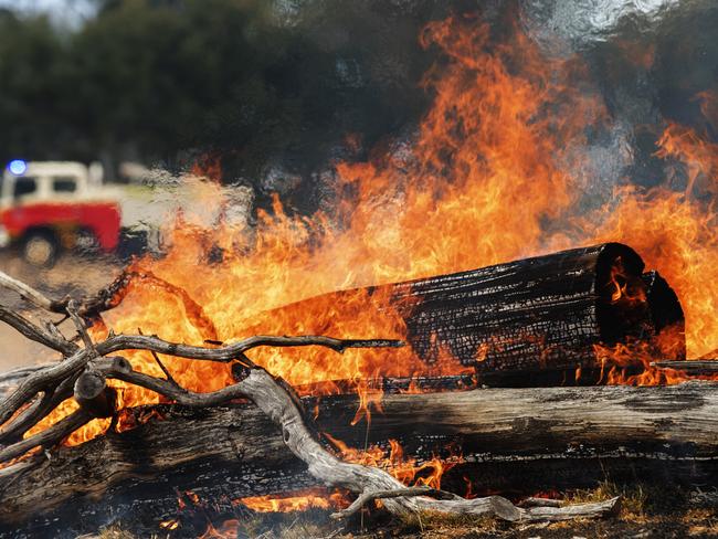 Tasmania Fire Service volunteers conduct backburning operations at Fingal. Picture: CHRIS KIDD