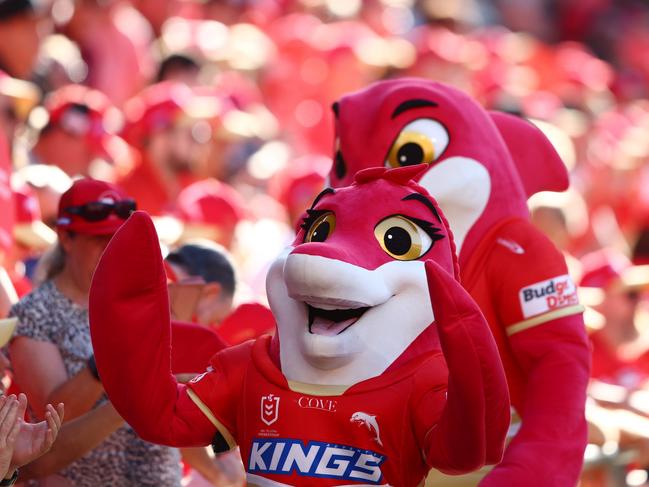 BRISBANE, AUSTRALIA - MARCH 05: Dolphins mascots during the round one NRL match between the Dolphins and Sydney Roosters at Suncorp Stadium on March 05, 2023 in Brisbane, Australia. (Photo by Chris Hyde/Getty Images)