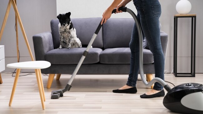 top 5 vacuums for pet hair
