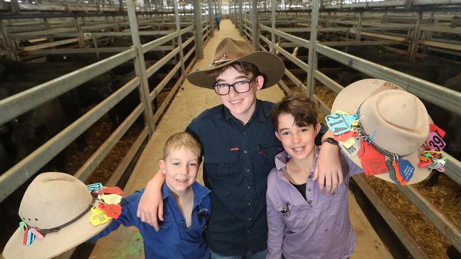 Riley, 7, Jasper, 13, and Charlie Shea, 10, from Barfold. Picture: Yuri Kouzmin