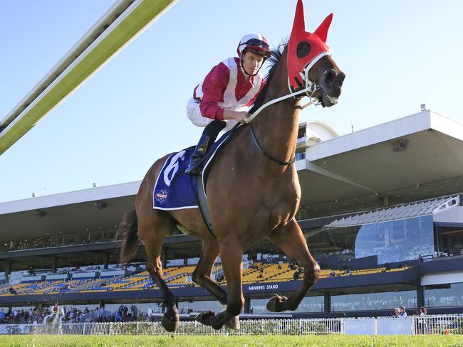 James McDonald will partner Arcadia Queen in the Randwick sprint.