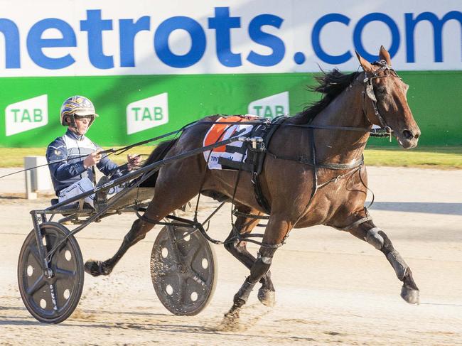 Race 4: Tabcorp Park, VicBred Finals, Saturday 31-12-2022 Captain Crunch Vicbred Super Series (2yo Colts & Geldings) Final (Group 1) Winner: The Lost Storm (12) Trainer: Emma Stewart; Driver: Mark Pitt Race Distance: 2,240 metres, Mile Rate: 1.52.2 photography: Stuart McCormick