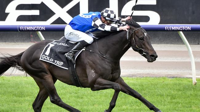 2022 Melbourne Cup winner Gold Trip has suffered a tendon injury. Picture: Reg Ryan/Racing Photos