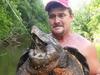 Turtle_15may14