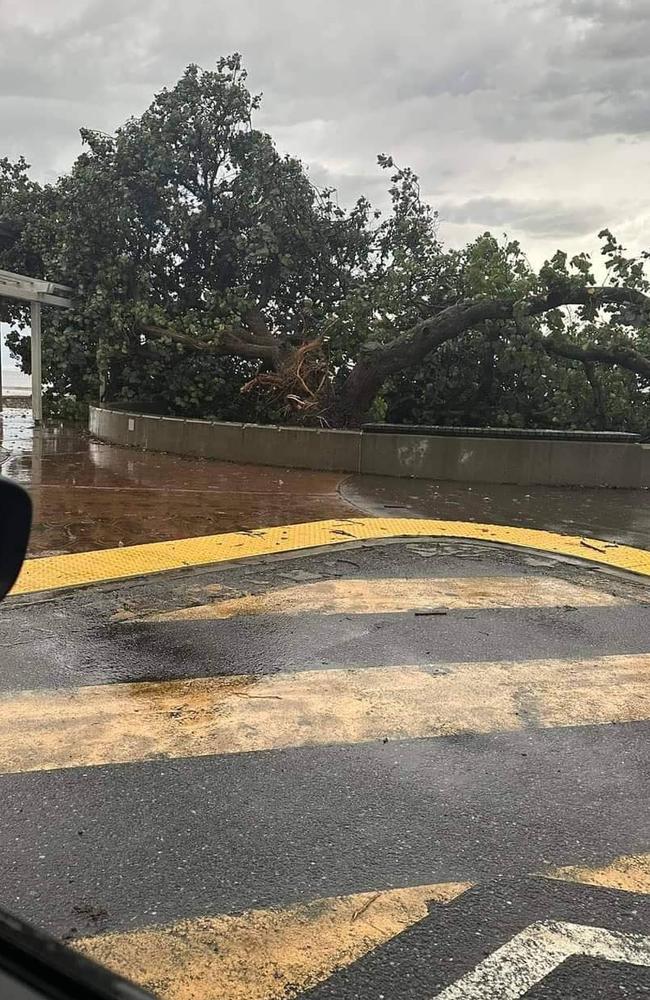 Chilling photos show the destruction left in the wake of a wild summer storm which tore through Wynnum and Manly on Boxing Day. PHOTOS: Councillor Sara Whitney.