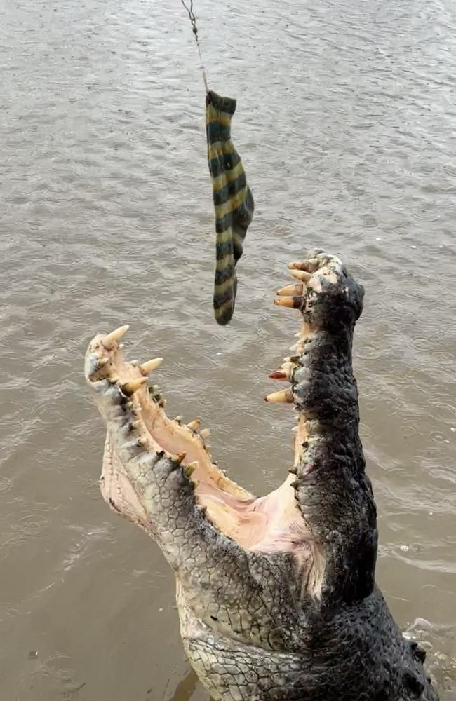 The sock, featured on Insta page @socks_around_the_world, was almost eaten by an anonymous croc in the Northern Territory.