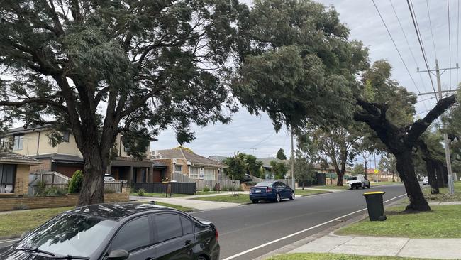 Fawkner residents living on Anderson Rd near Sydney Rd are afraid the trees on that road are a "disaster waiting to happen". Picture: Himangi Singh