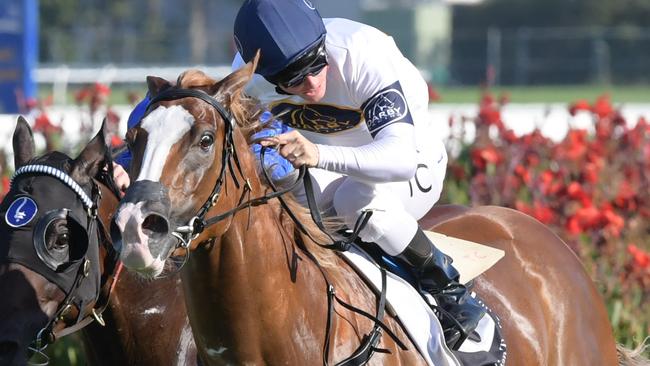 Scarlet Rain looks well placed in the Fireball Stakes.