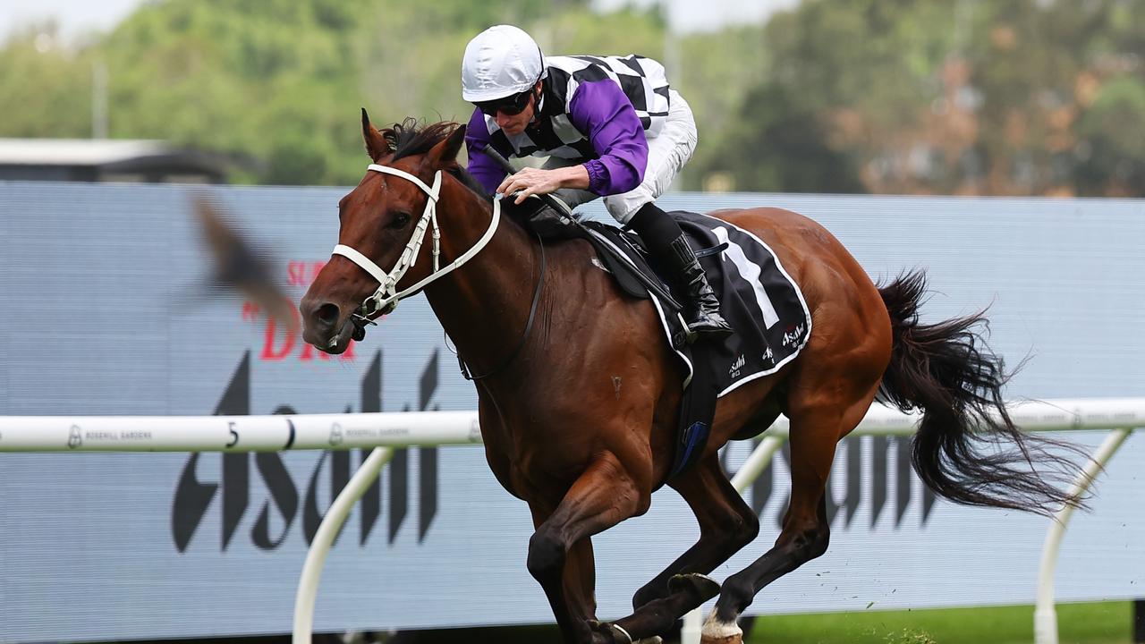 Ray and Duff: All Aged ‘good form’ for $9 value bet at Hawkesbury