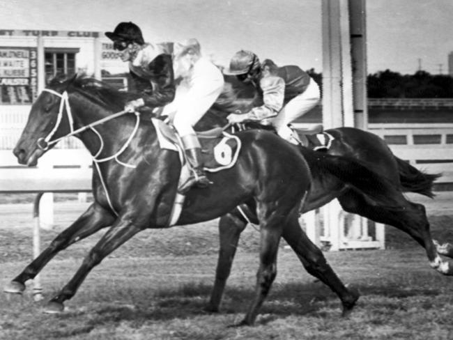 Jockey Pam O'Neill rides racehorse Samoan Lady to victory, being her their successive winning on one day during meeting at Southport Racecourse on Gold Coast on 19/05/79.