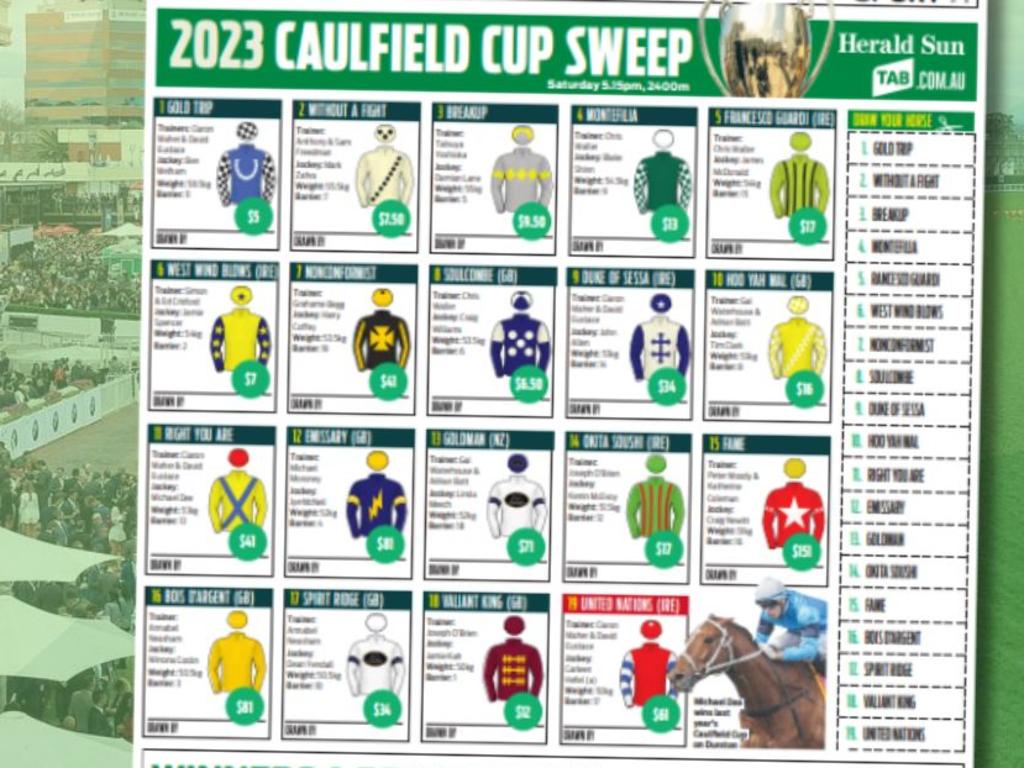 Melbourne Cup Sweep 2024 Download Free Printable Office Sweep