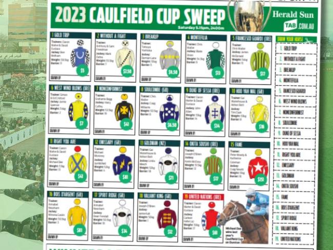 Download your 2023 Caulfield Cup sweep here