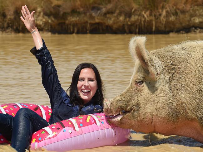 Animals keeping cool at EdgarÕs Mission. Staff member Kelly Dinham with Captain Jack in the dam. Picture: Josie Hayden