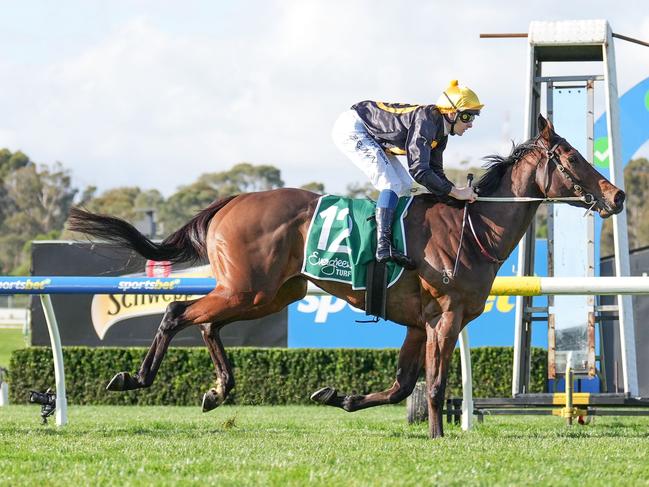 Miss Roumbini ridden by Ethan Brown wins the Evergreen Turf Handicap at Sportsbet Sandown Hillside Racecourse on June 15, 2024 in Springvale, Australia. (Photo by Scott Barbour/Racing Photos via Getty Images)