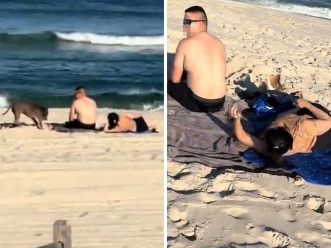 ‘Disgusting’: Fury at husband’s beach act. Picture: TikTok