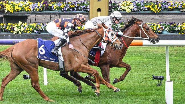 Justdoit ridden by Craig Williams wins the Donate to RDA Australia at Flemington Racecourse on August 03, 2024 in Flemington, Australia. (Photo by Reg Ryan/Racing Photos via Getty Images)