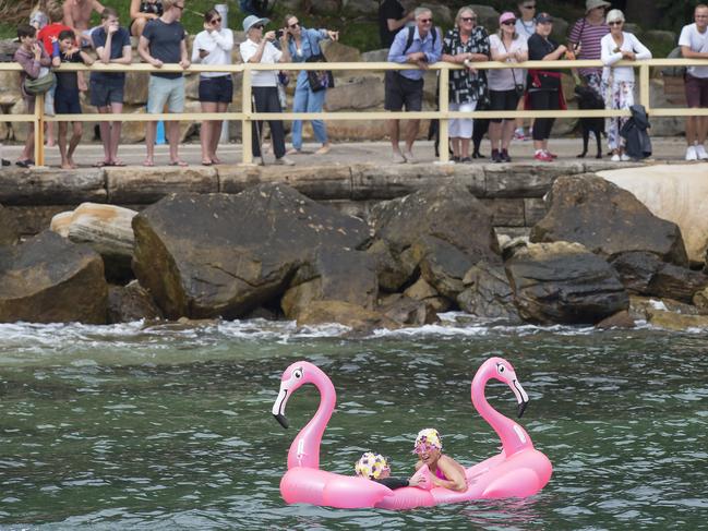 Pretty in pink. (AAP IMAGE / Troy Snook)