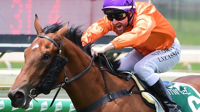 Larry Cassidy steers Miss Hipstar to victory at Doomben. Picture: Trackside Photography