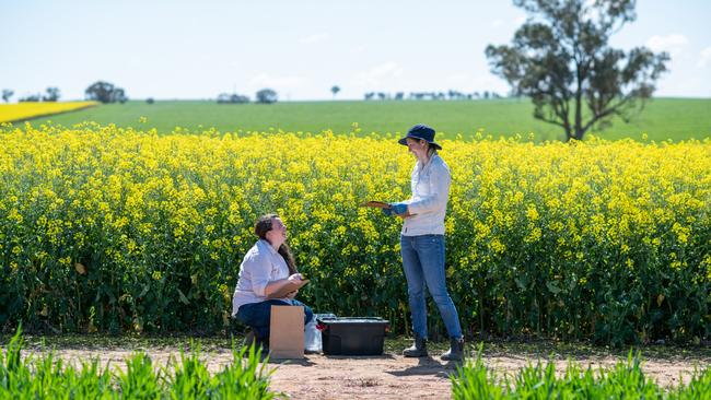 Loam Bio co-founder Tegan Nock with field trials manager Brooke Bruning.