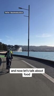 Wellington in 90 seconds