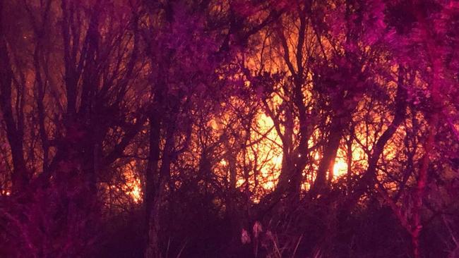 The fire was burning in inaccessible terrain. Picture: Todd Wildman, NSW Rural Fire Service