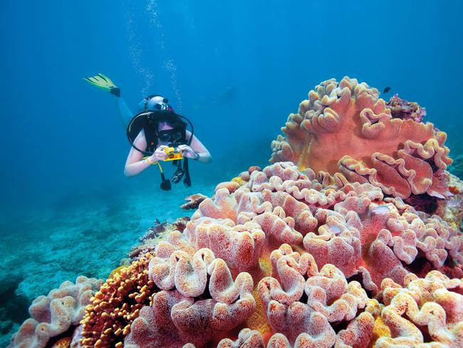 The Great Barrier Reef stuns with its beauty, but is threatened by coral bleaching. Picture: Tourism Australia