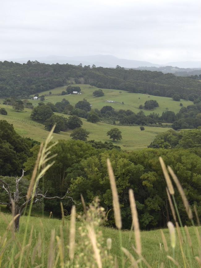 Flowers Road’s view to the Byron hills.