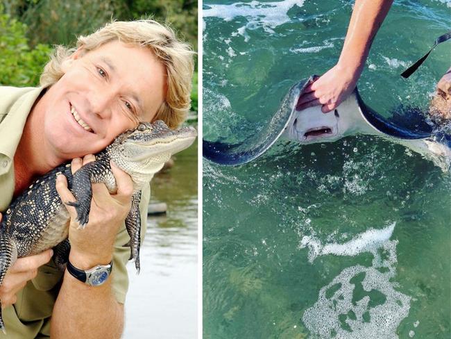 Steve Irwin's death has left stingrays "tragically misunderstood". Photo: AFP and Instagram