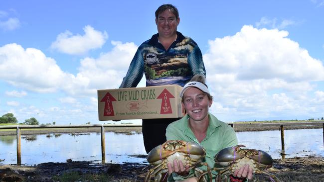 Commercial seafood courier Robert Hutton and commercial crabber Sienna Green are hoping they will be able to freight live mudcrabs Sydney after freight flights out of North Queensland were cut.