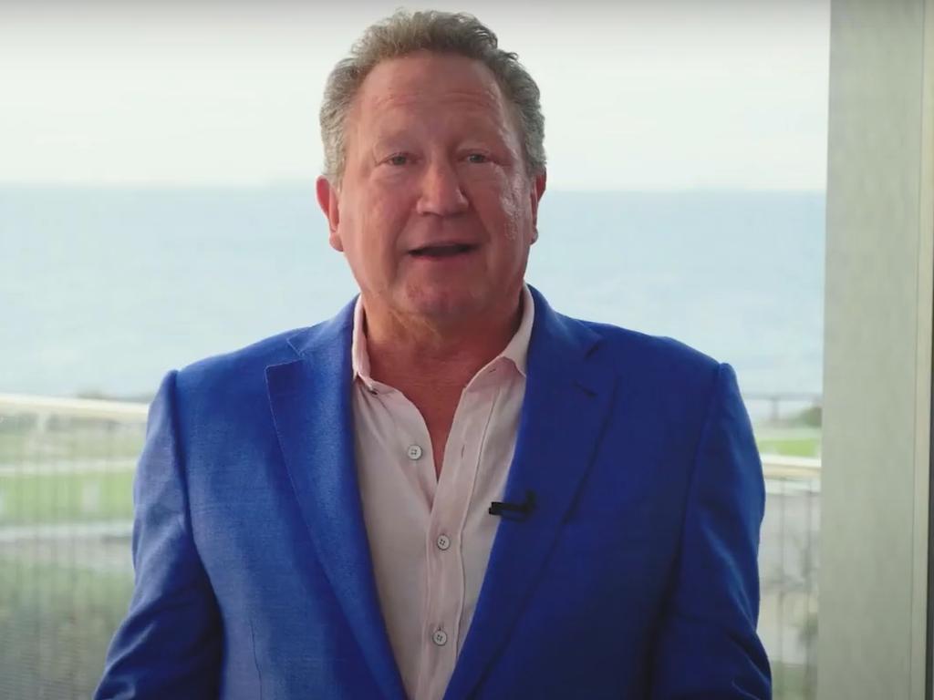 Twiggy Forrest is serving as executive chairman as the company searches for a replacement after Elizabeth Gaines quit the job last year.