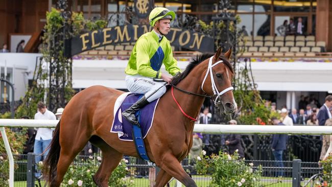 Stretan Angel finished second to Skybird when resuming in the Group 1 Lightning Stakes at Flemington. Picture: Racing Photos via Getty Images