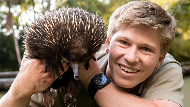 Instagram image of Robert Irwin with an Echidna.