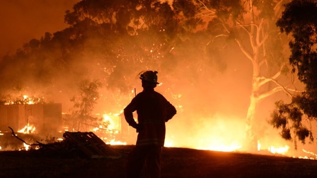 A CFS firefighter watches as the Cherry Gardens bushfire rages. Picture: CFS Promotions Unit