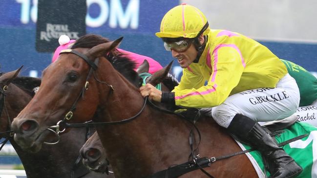 Grant Buckley rides several leading chances and can win the TAB Jockey Challenge. Picture: Grant Guy