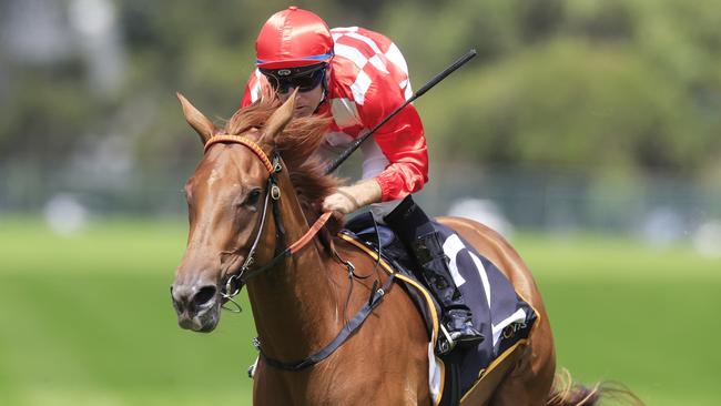 She's Extreme is the class horse in the Spring Champion Stakes. Picture: Getty Images