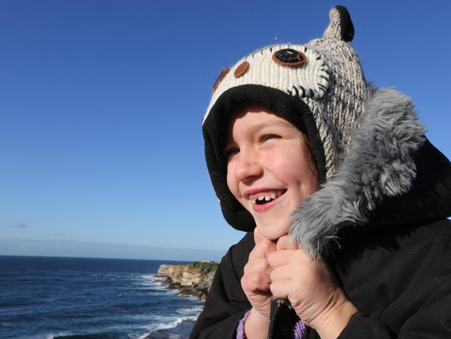 Amelie Kordina, six, on the cliffs at Bronte looking for whales this morning. Picture: Bob Barker.