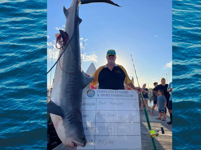 A photo from the competition showing a large tiger shark hauled in.