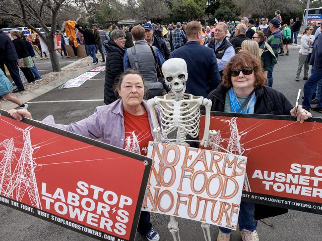 Kathleen and Loretta take aim at planned transmission lines. Picture: David Geraghty