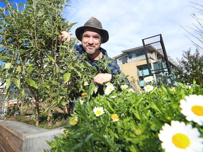 Gardening guru Tino Carnevale will be a guest speaker at the Nubeena Bee Festival. Picture: Luke Bowden